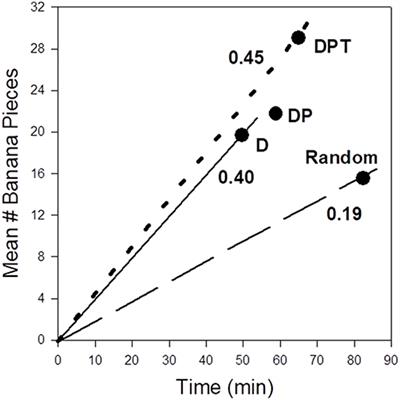 Foraging Benefits of Ecological Cognition in Fruit-Eating Primates: Results From Field Experiments and Computer Simulations